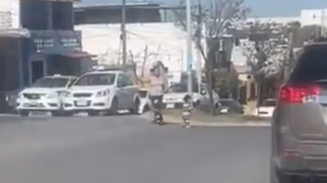 El pequeño se encontraba solo en el cruce de dos avenidas en Apodaca.