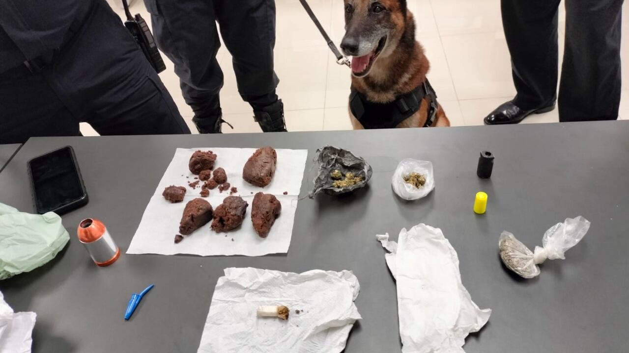 Con el apoyo de equipo canino fueron detectados pastelitos con hierba verde, ademas de bolsitas con el mismo material.