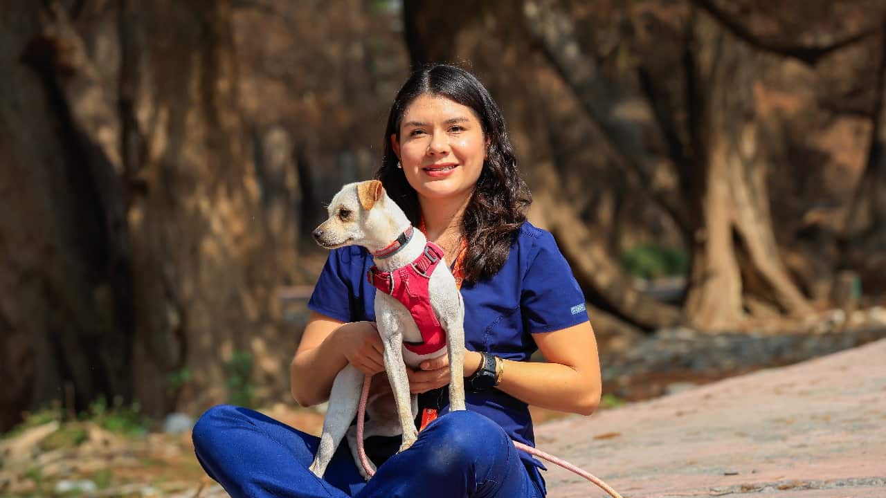 Además de convivir con las mascotas propias se puede adoptar.