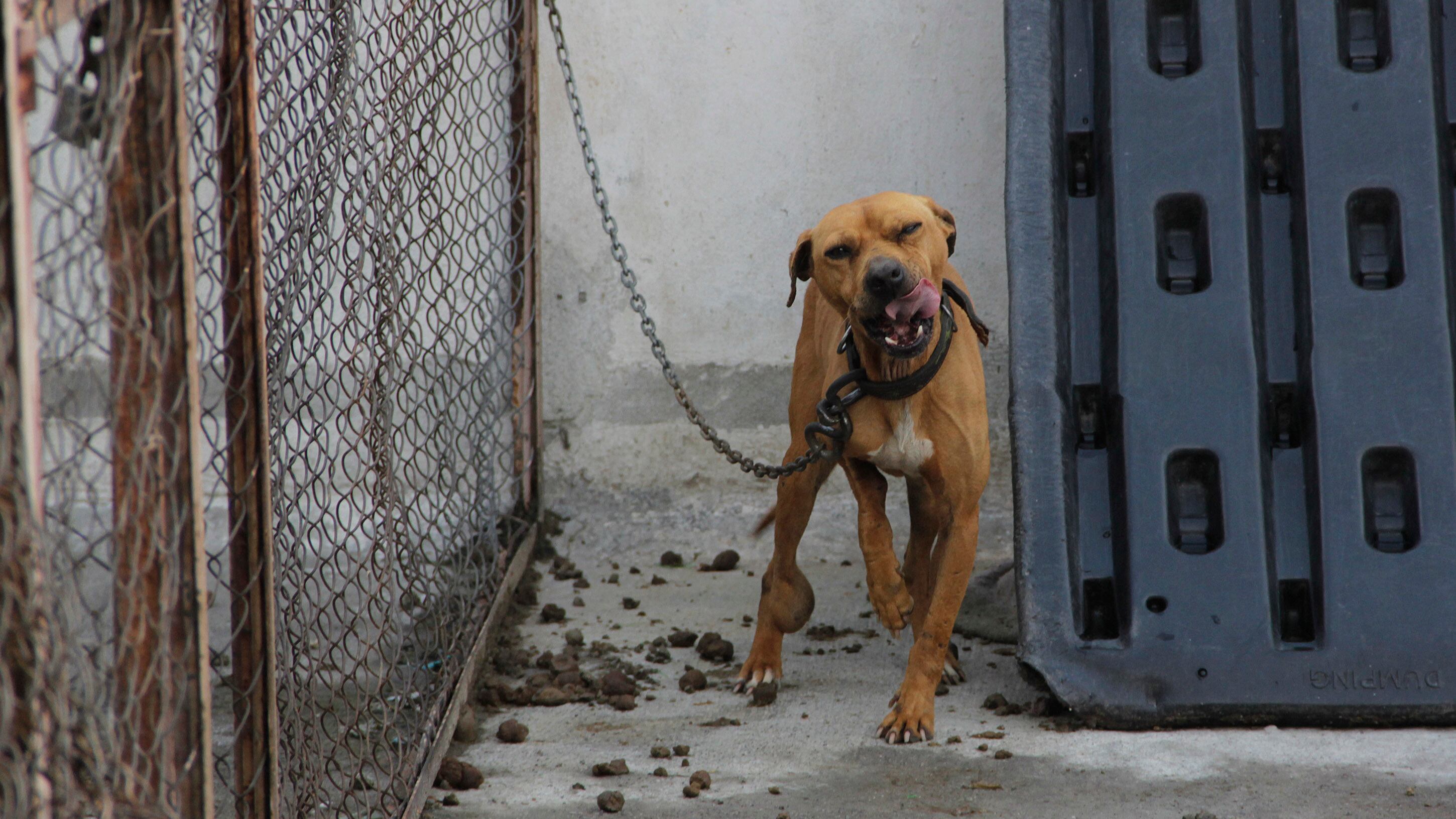 FOTO: Agencia Enfoque