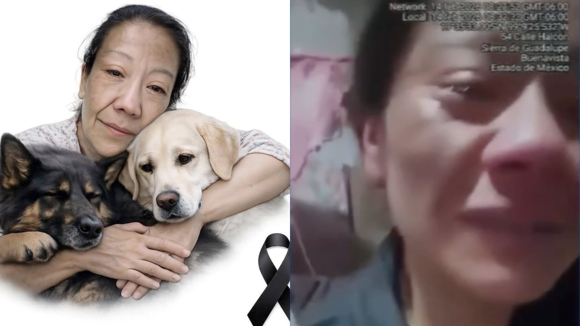 Colectivos animalistas y familiares demandan el esclarecimiento del caso tras el hallazgo del cuerpo de la rescatista en el Estado de México.