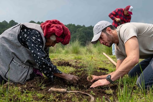 Economía, bienestar y medio ambiente marcan la agenda política en el Estado de México para 2026