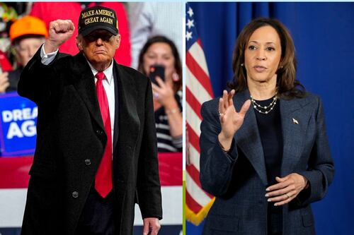 Kamala Harris o Donald Trump, ¿cuál es la mejor opción para el gobierno de México?