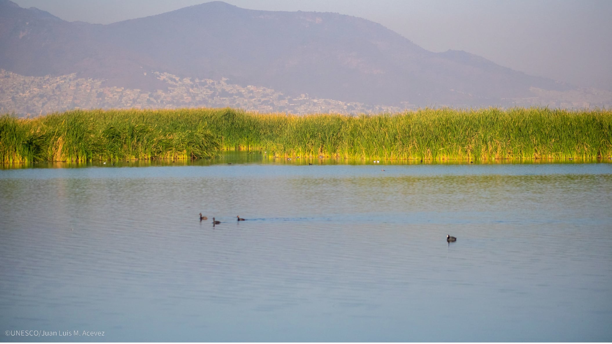 Lago de Texcoco