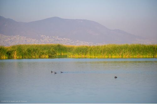 Lago de Texcoco, primer sitio en México designado como Sitio Demostrativo de Ecohidrología por la Unesco