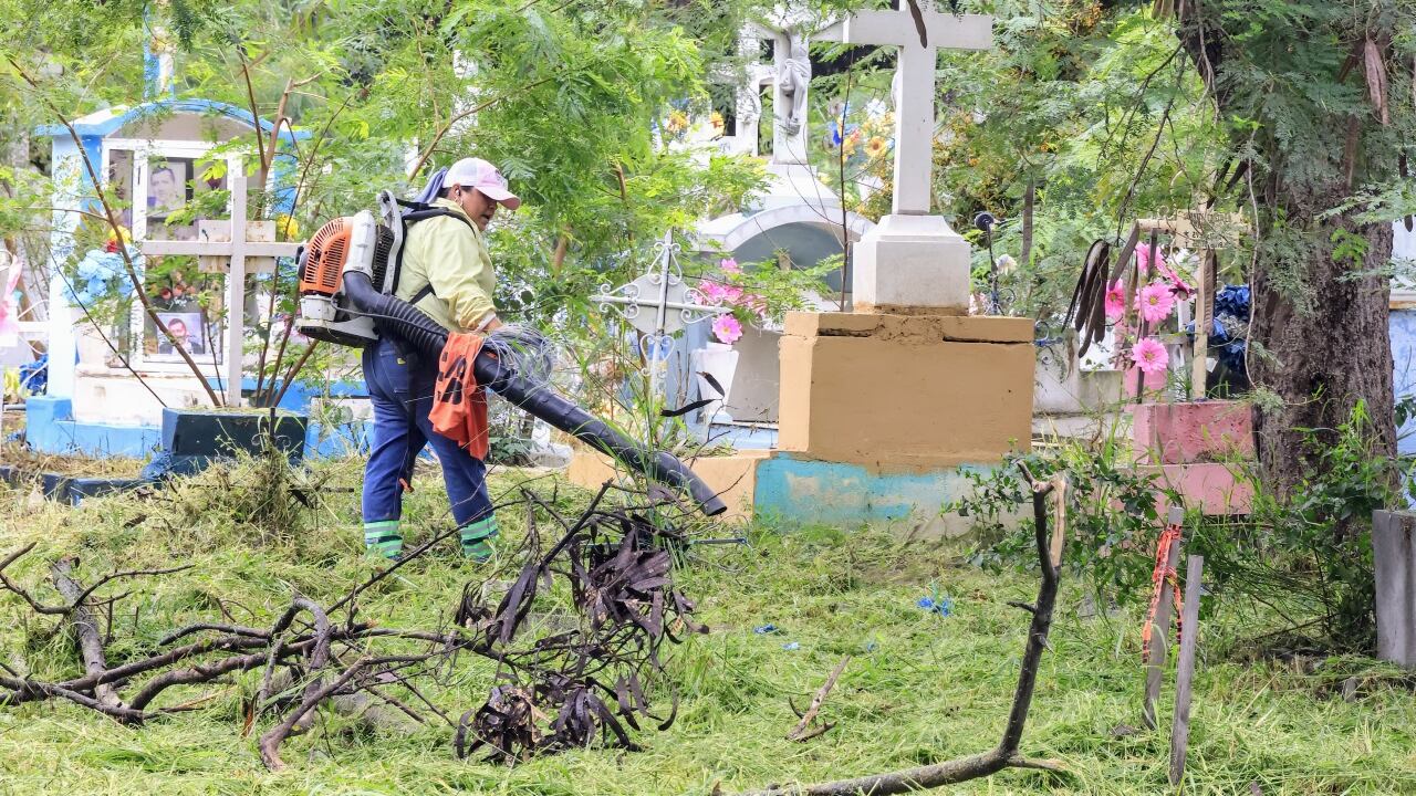 La fumigación es importante para eliminar al mosquito transmisor del dengue.