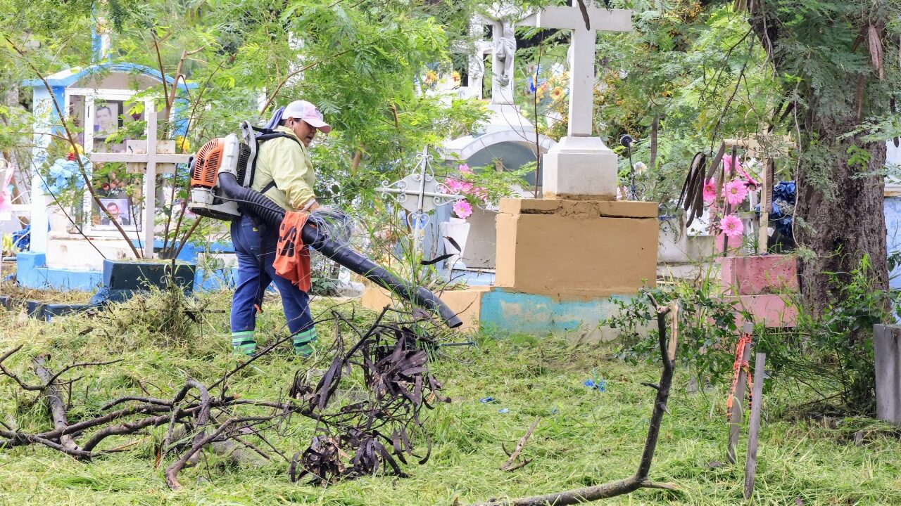 La fumigación es importante para eliminar al mosquito transmisor del dengue.