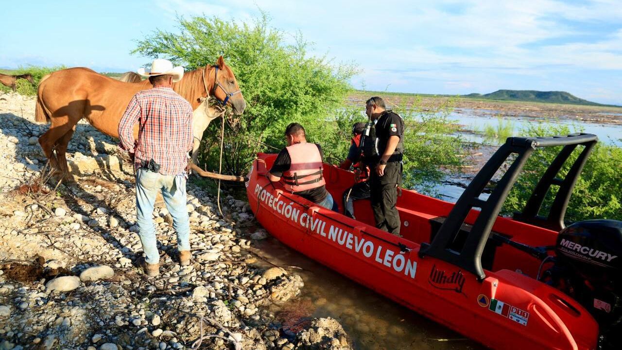 Los equinos fueron llevados a un lugar seguro.