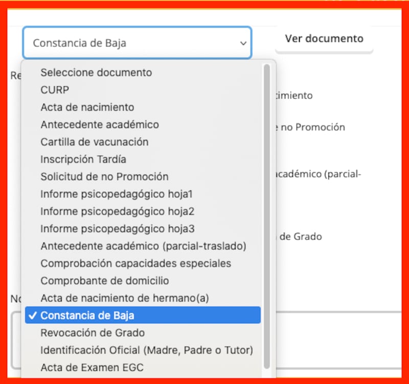 Los accesos filtrados permiten acceder a actas, CURP, cartillas de vacunación y reportes médicos.