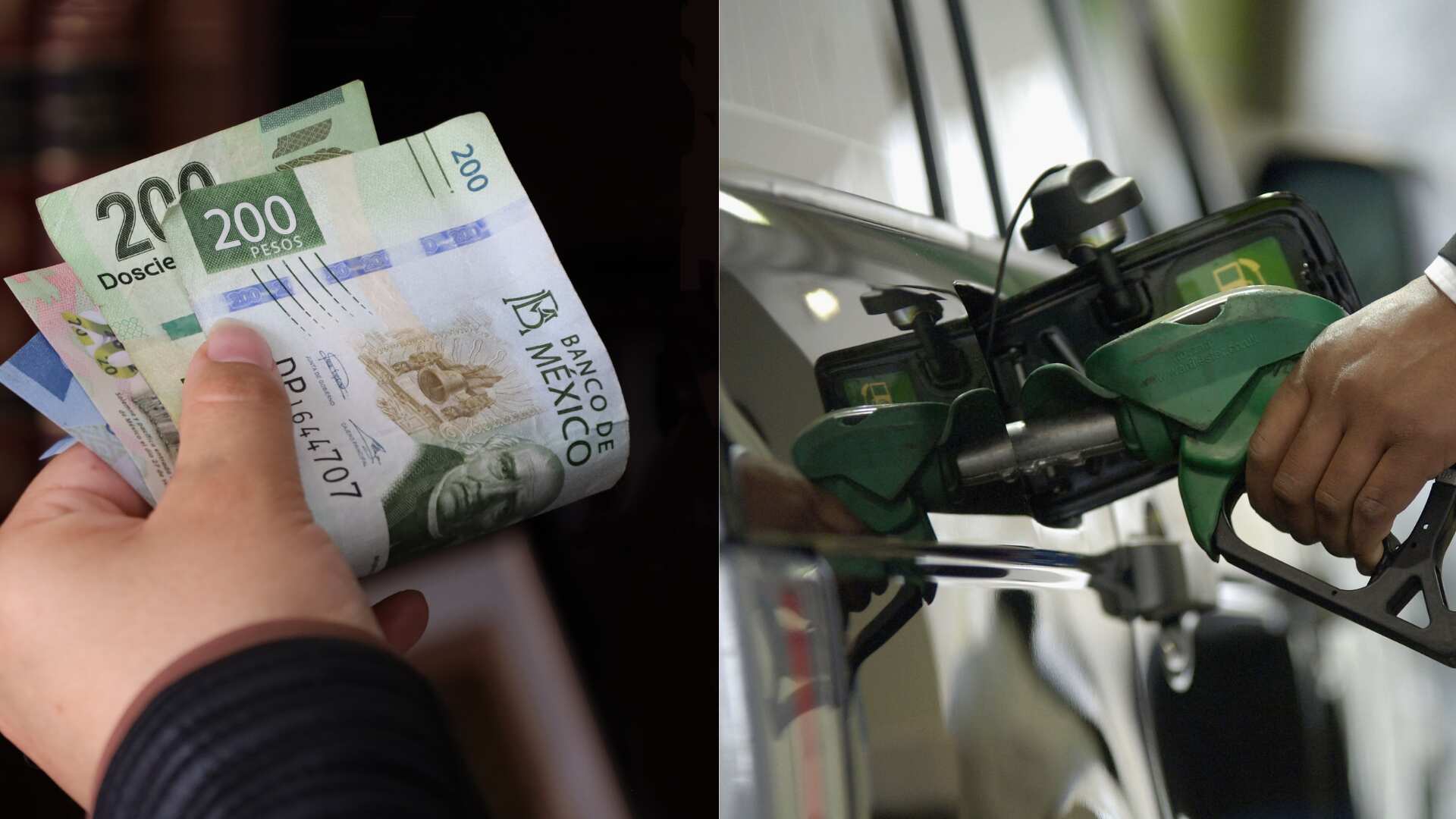 gasolina este viernes 8 de noviembre