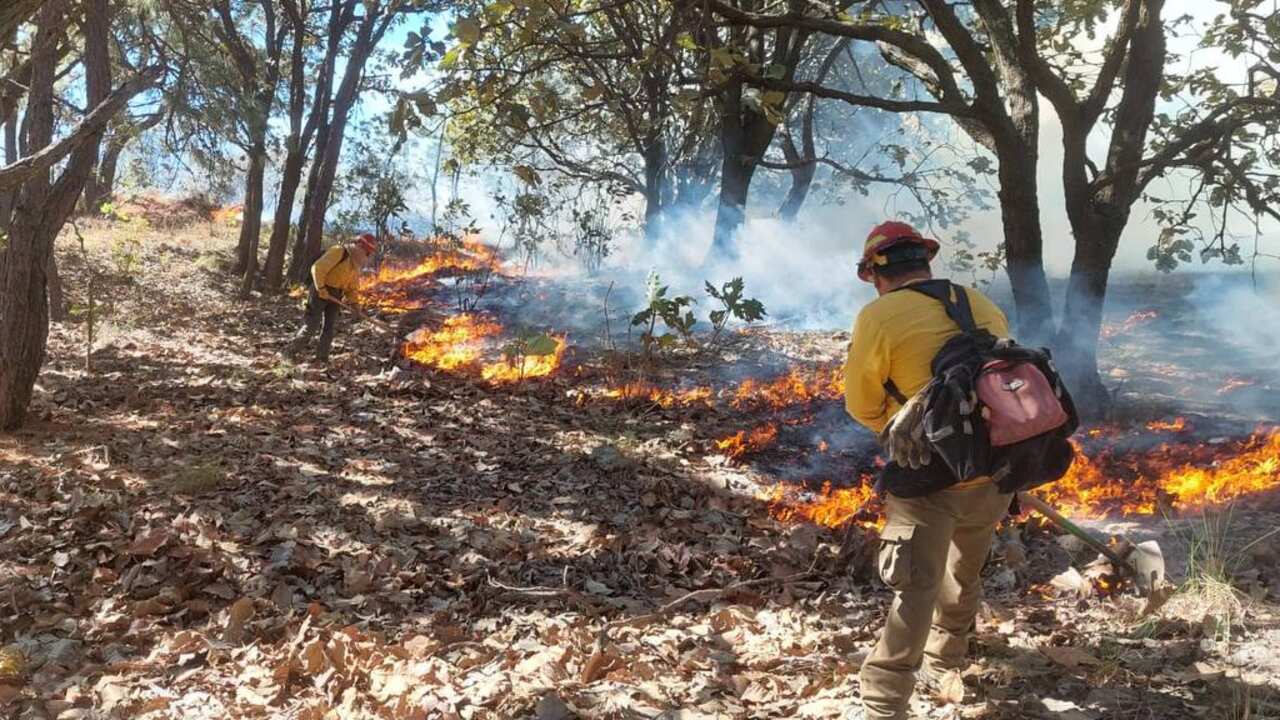Brigadas de Semadet Jalisco.