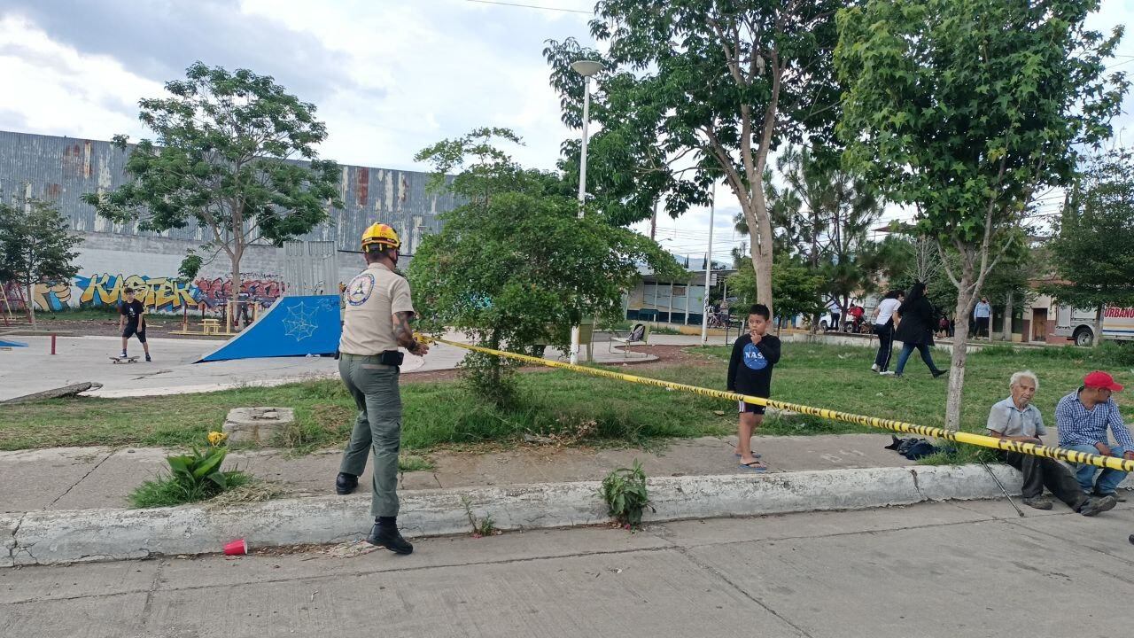 La falla geológica fue detectada desde 1985 tras el sismo del 19 de septiembre.