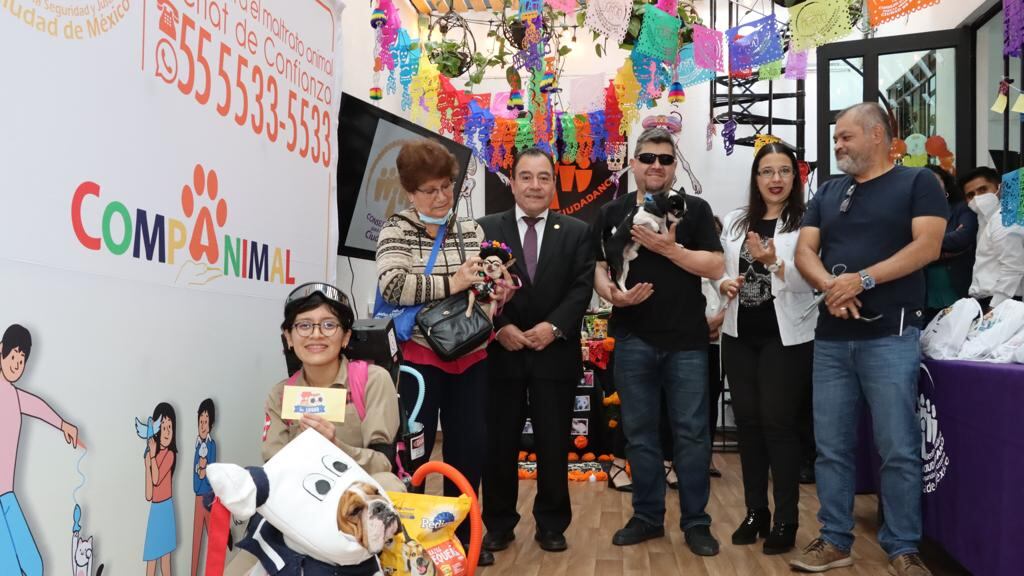 Concurso de disfraces de animales