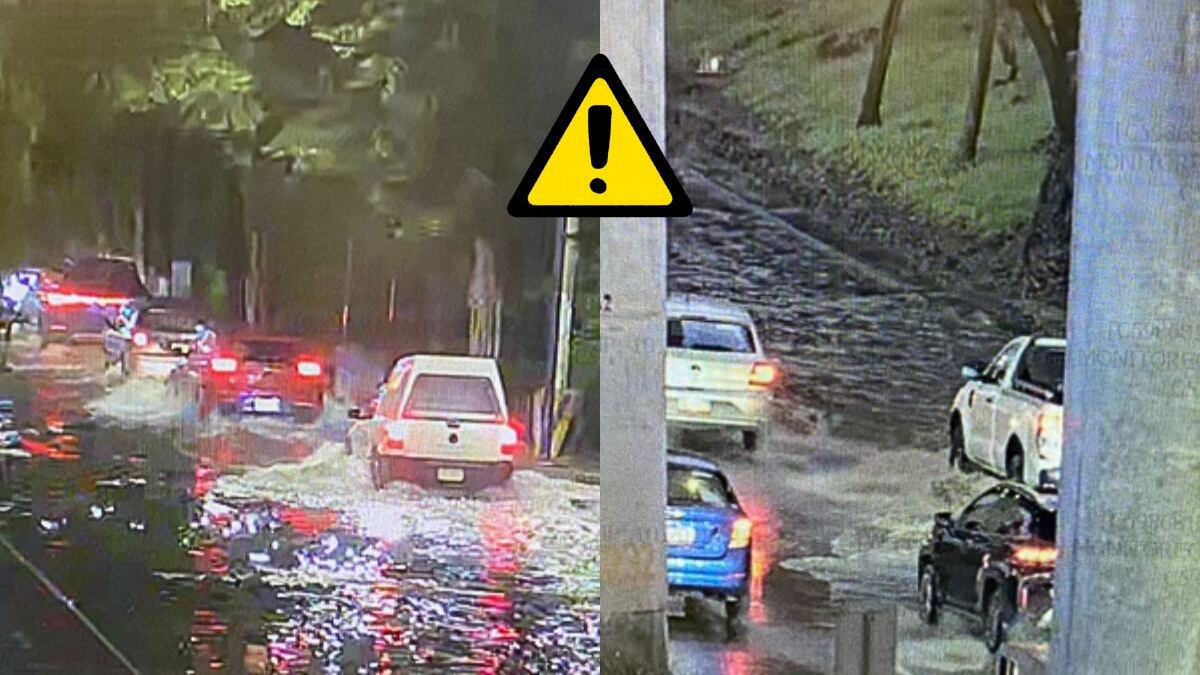 Lunes 25 de agosto: Manifestaciones y marchas hoy CDMX; alternativas viales y calles afectadas