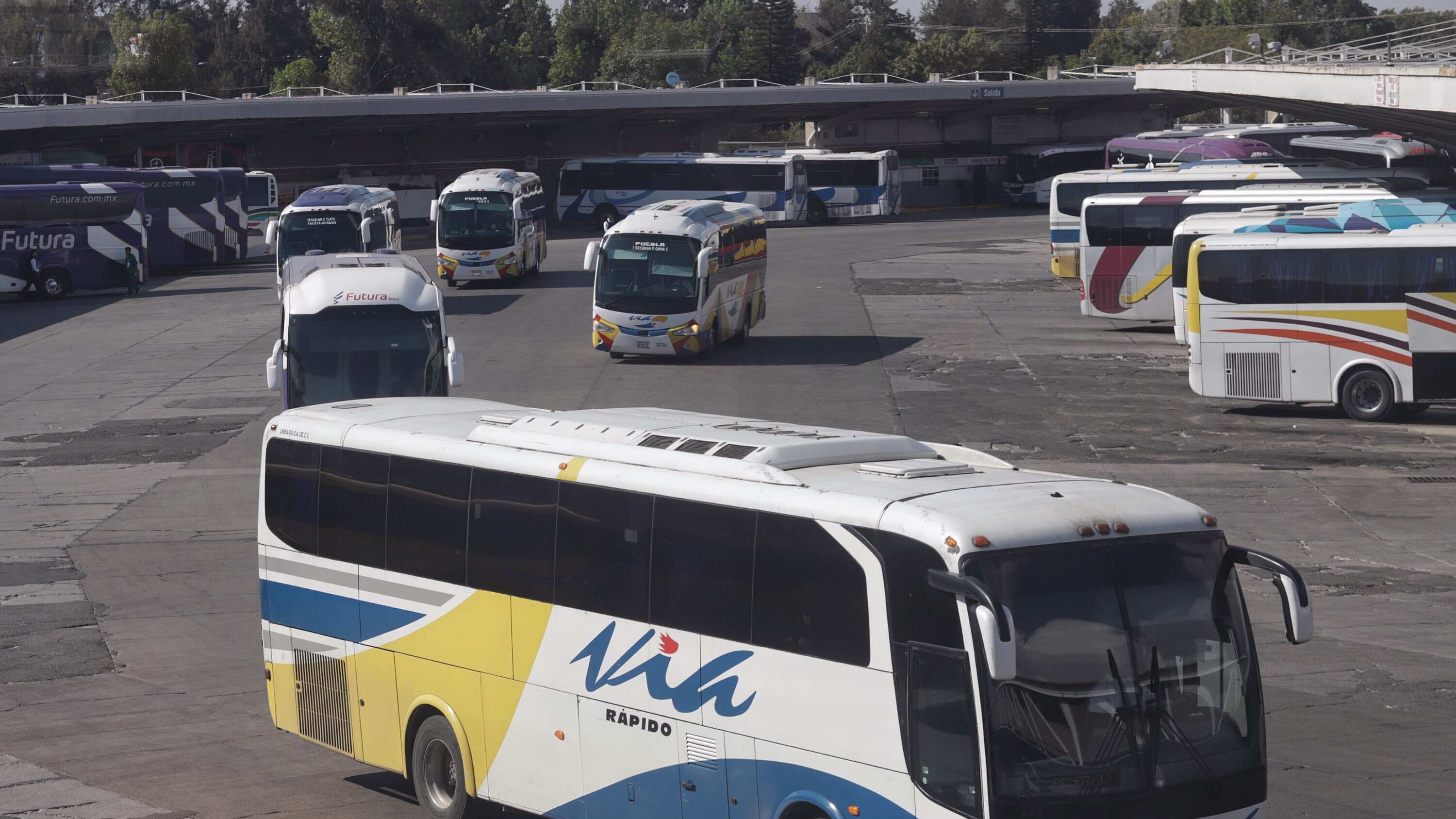 FOTO: Mireya Novo/Agencia Enfoque