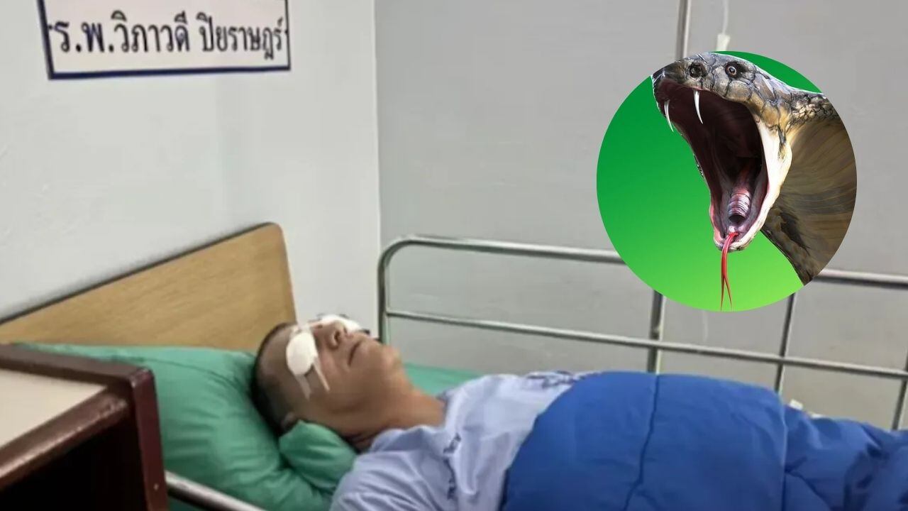 Un influencer fue hospitalizado de emergencia tras haber sido atacado por una cobra.