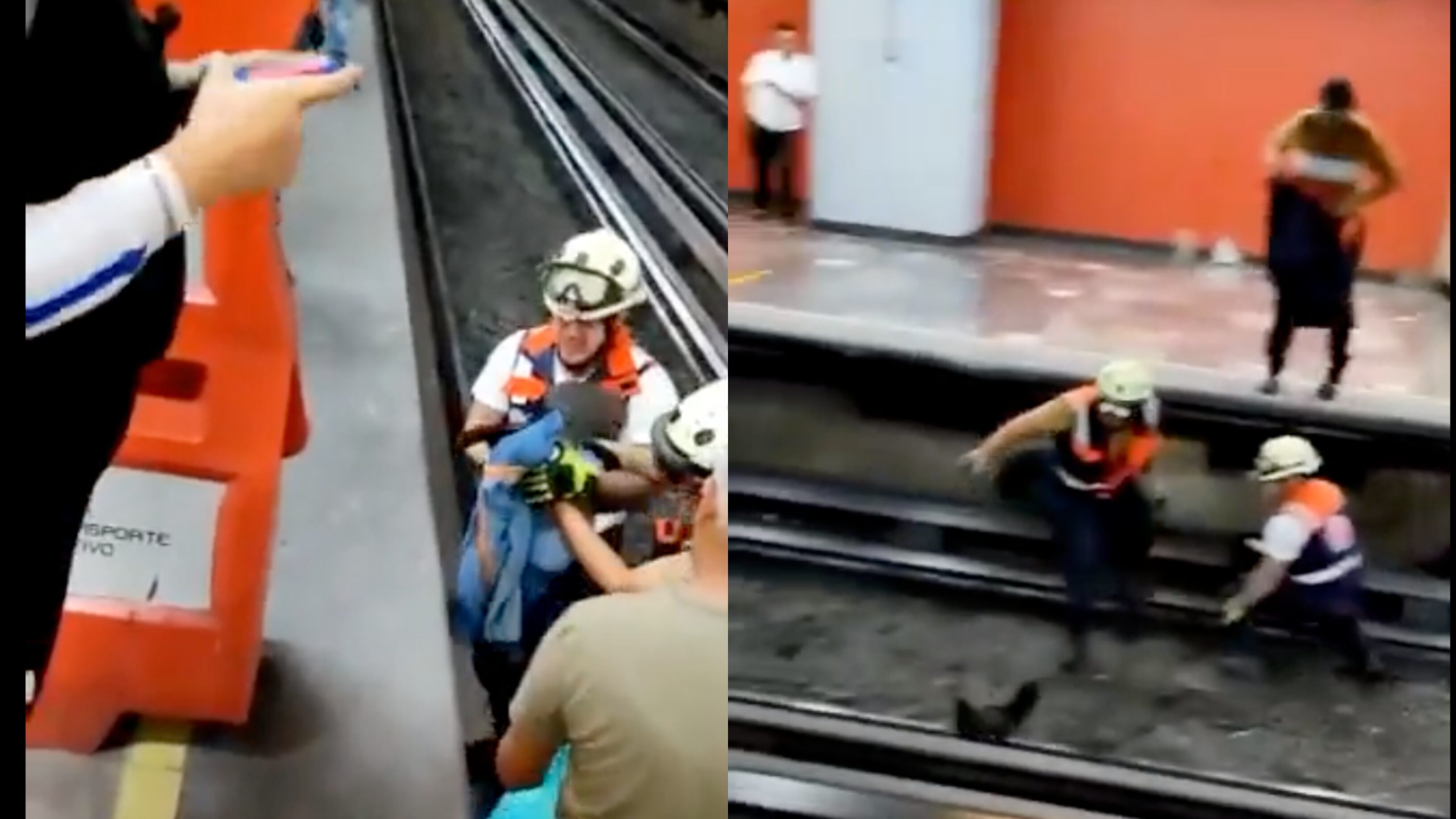 El animal fue asegurado por personal del Metro CDMX. (Especial)