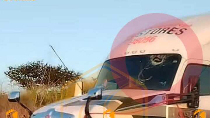 Un caso que trascendió, con víctima fatal fue el pasado 29 de octubre, cuando un operador falleció luego de que le lanzaron una roca desde un puente, el hecho fue en el Macro Libramiento a la altura del municipio de Tala.