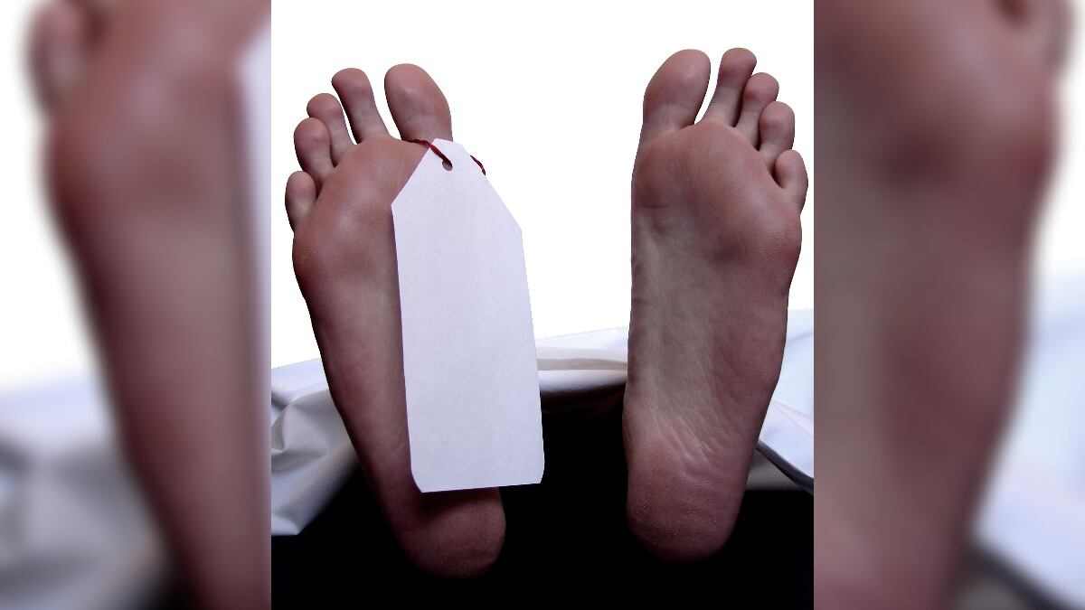 Javier Navarro señaló que probablemente un presupuesto mal aplicado desencadenó la crisis.