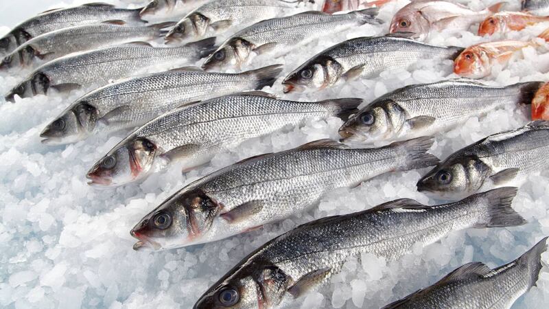 Pescado congelado