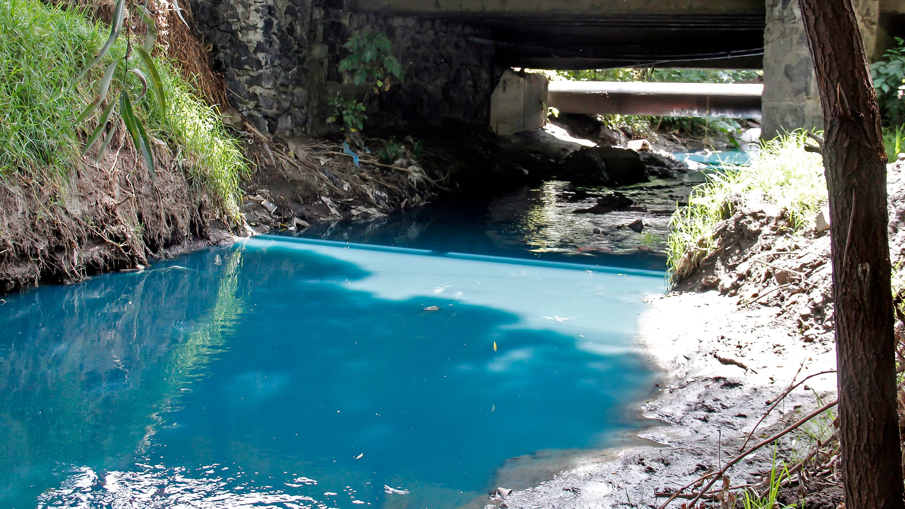 FOTO: Agencia Enfoque