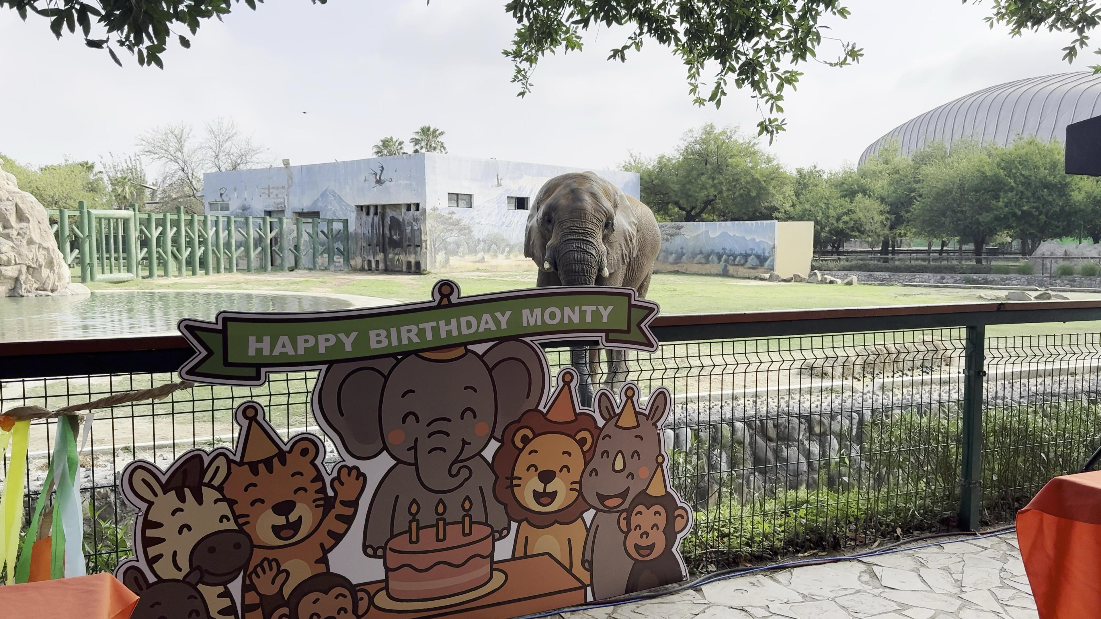 Monty es la estrella del zoológico La Pastora.