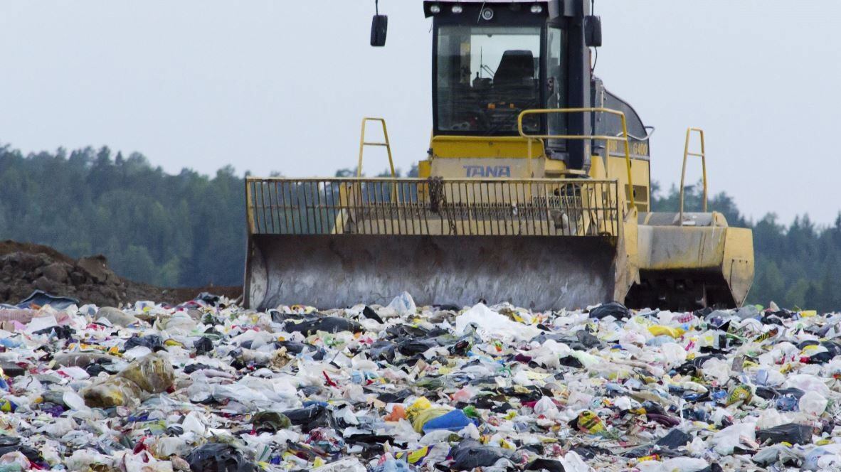 Bacteria parecida al E Coli podría ayudar a reciclar el plástico derivado del petróleo