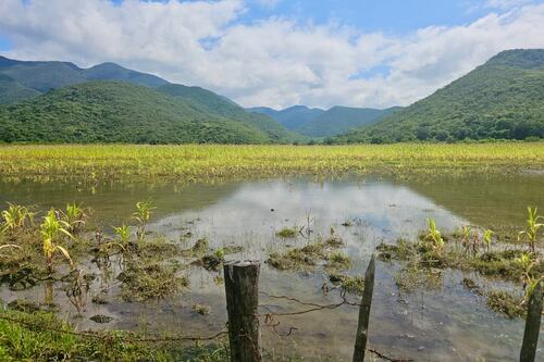 Darán 50 mil pesos a productores afectados en la Sierra