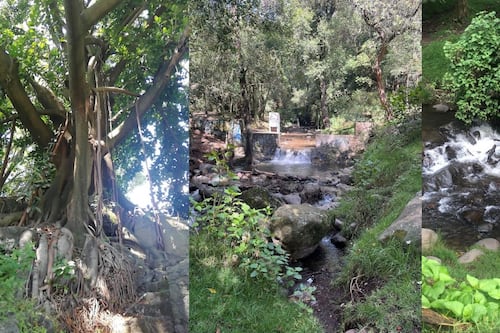 Ecopsicología parte 4