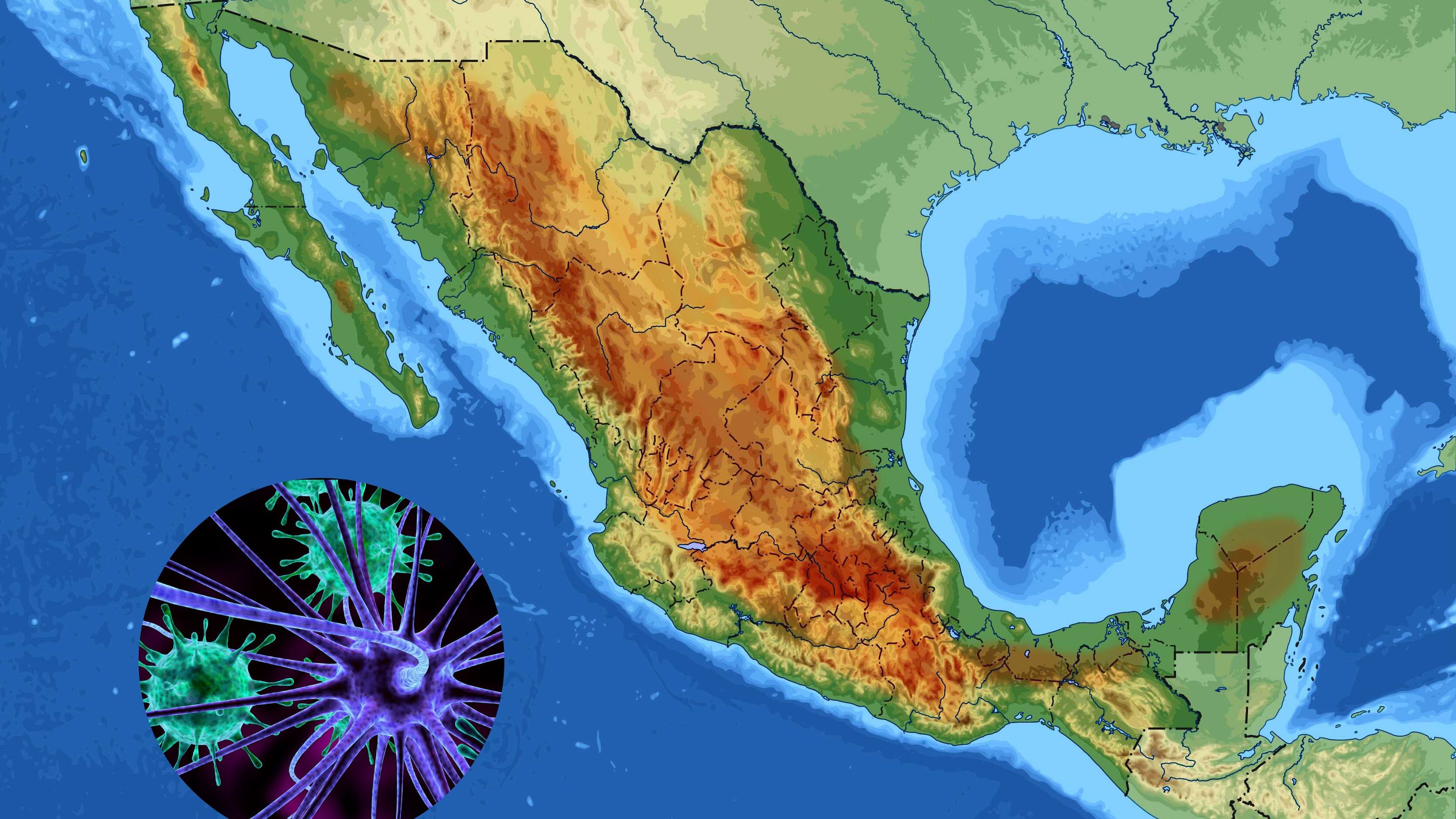 Viruela del mono en México
