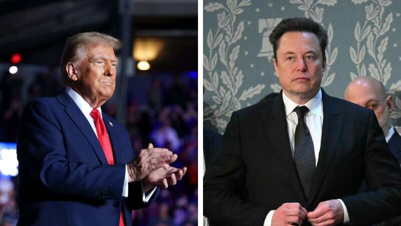 Trump nombra a Elon Musk al frente del Departamento de Eficiencia Gubernamental
