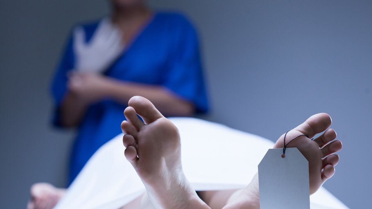 Del total de cuerpos que ingresan al Incifo, entre 3% y 4% son donados a universidades para fines educativos. Foto: Dreamstime