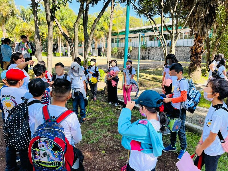Cursos de verano en alcaldías