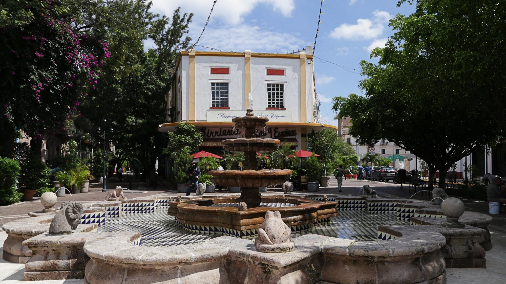 CORTESÍA