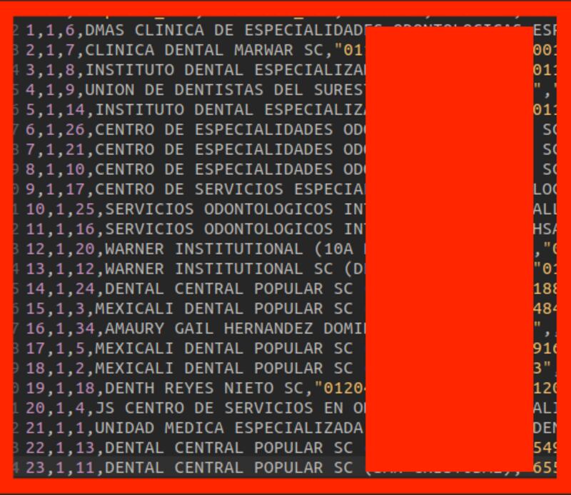 La información bancaria de empresas y usuarios fue comprometida. La imagen está censurada para evitar vulnerar datos confidenciales.