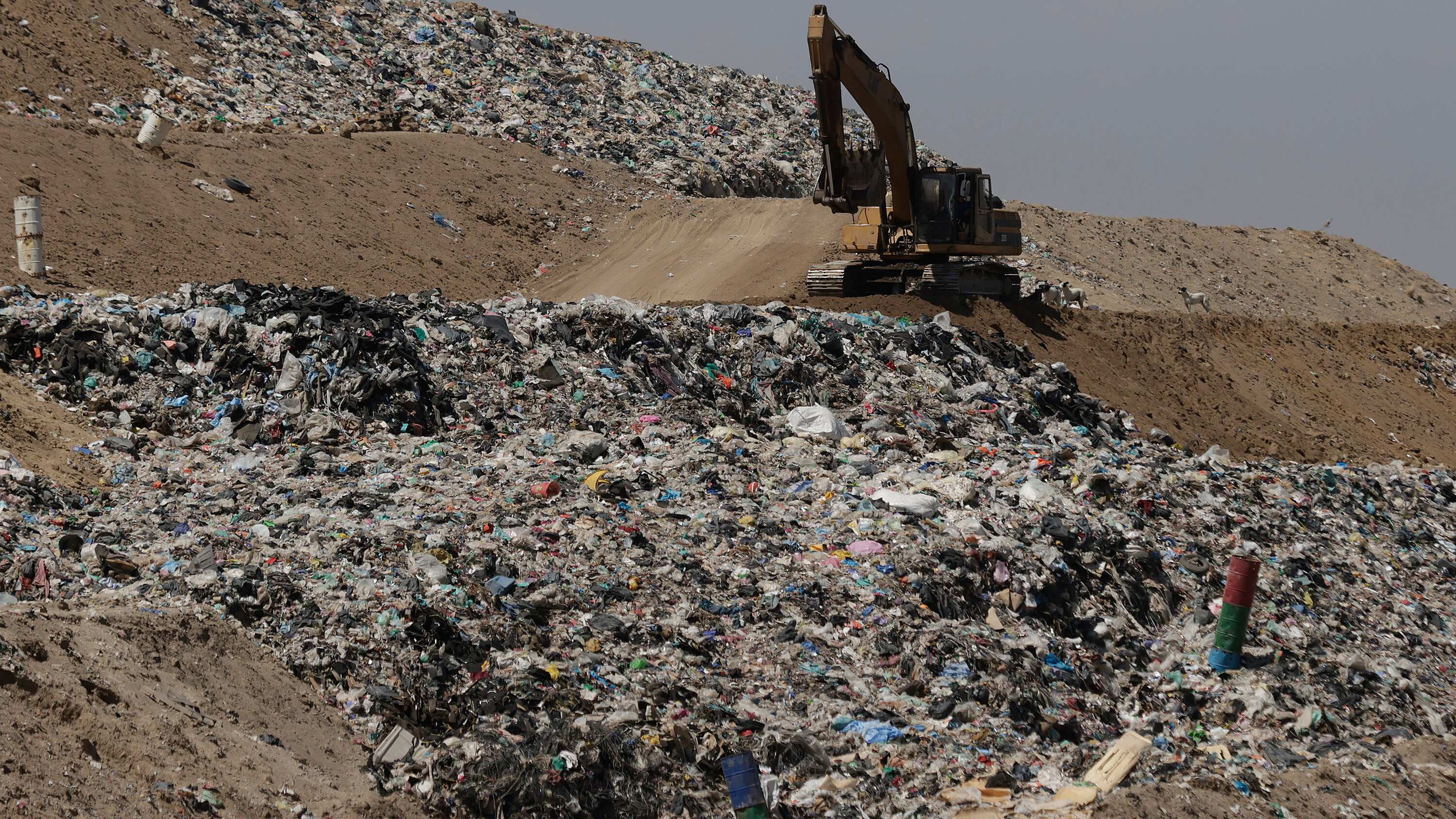 FOTO: Mireya NovoAgencia Enfoque