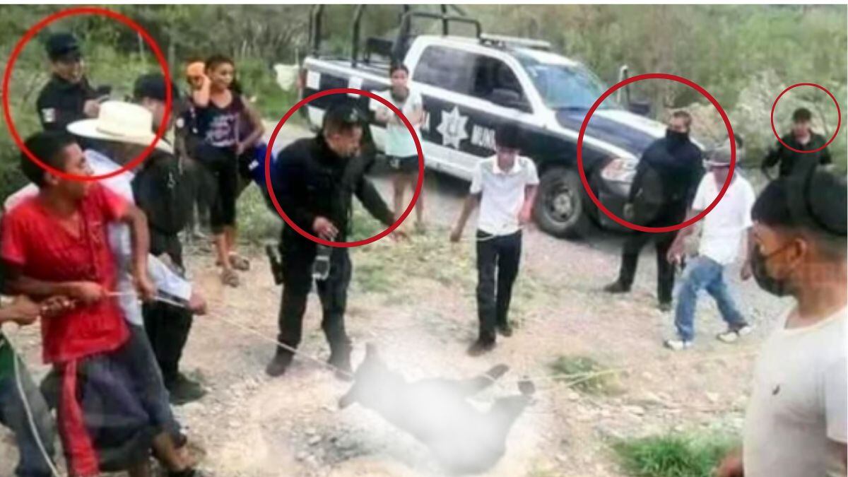 los policías no hicieron nada por detener la masacre sobre el animal. (Especial)