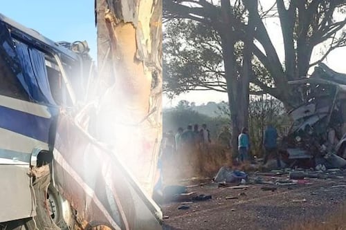 ¡Choque brutal! Autobús se estrella contra un árbol; deja al menos 9 muertos y 14 heridos