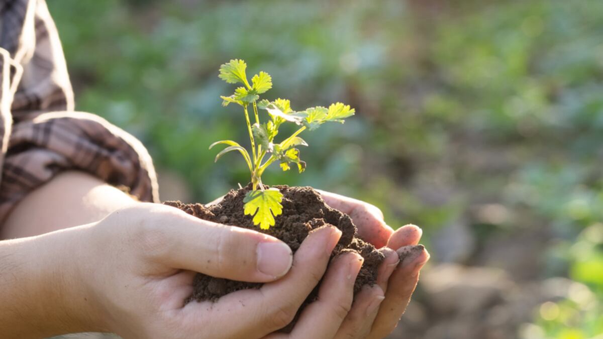 Intel y Kilimo en busca de mejor calidad de agua en México