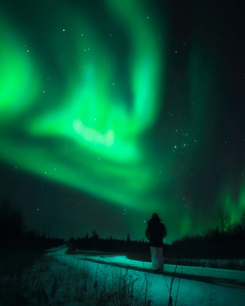 Experiencias en Estados Unidos 2026