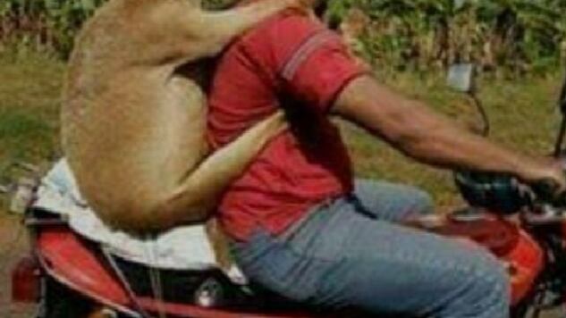 Rubí, Lolita, Gavito y Yahir, los protagonistas indiscutibles de los divertidos memes que dejó La Academia 20 años