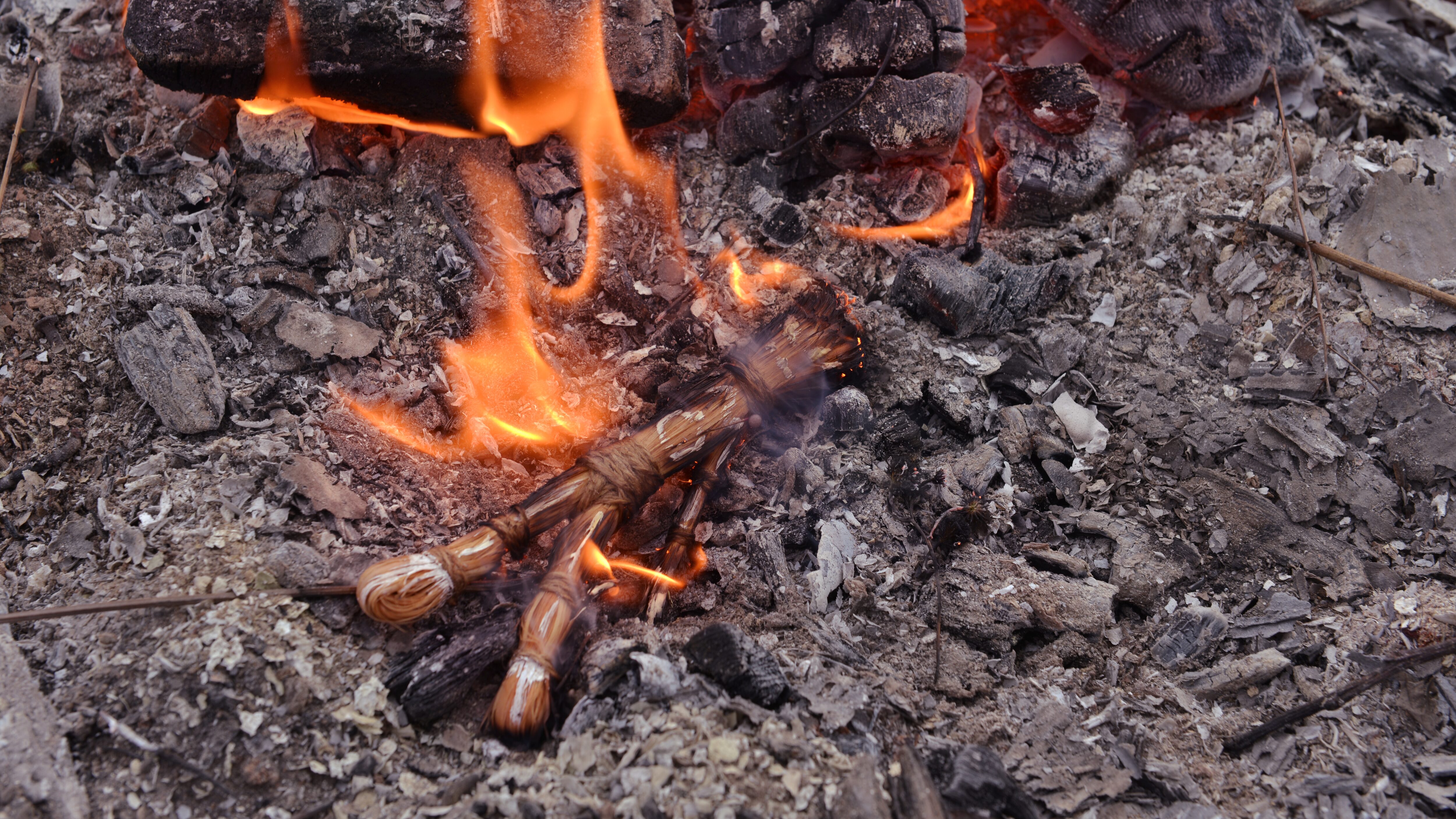 Se tienen contempladas actividades similares en otras ciudades de México.
