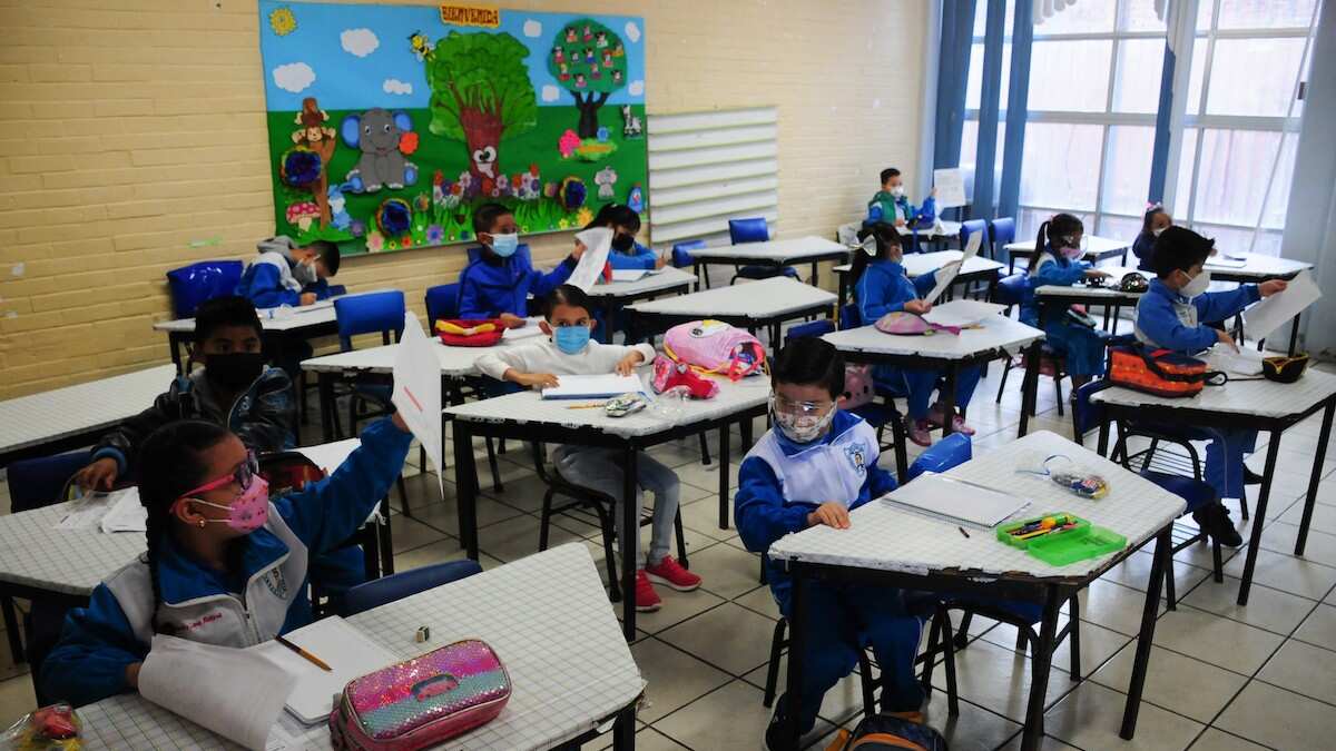 Boleta de calificaciones