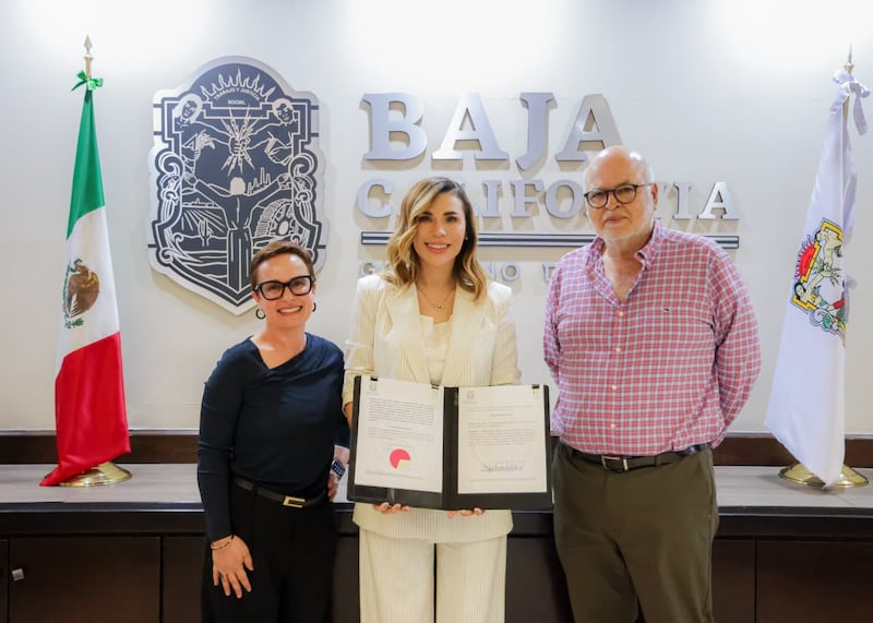 Baja California lanza plan para apoyar al vino con estímulo fiscal total