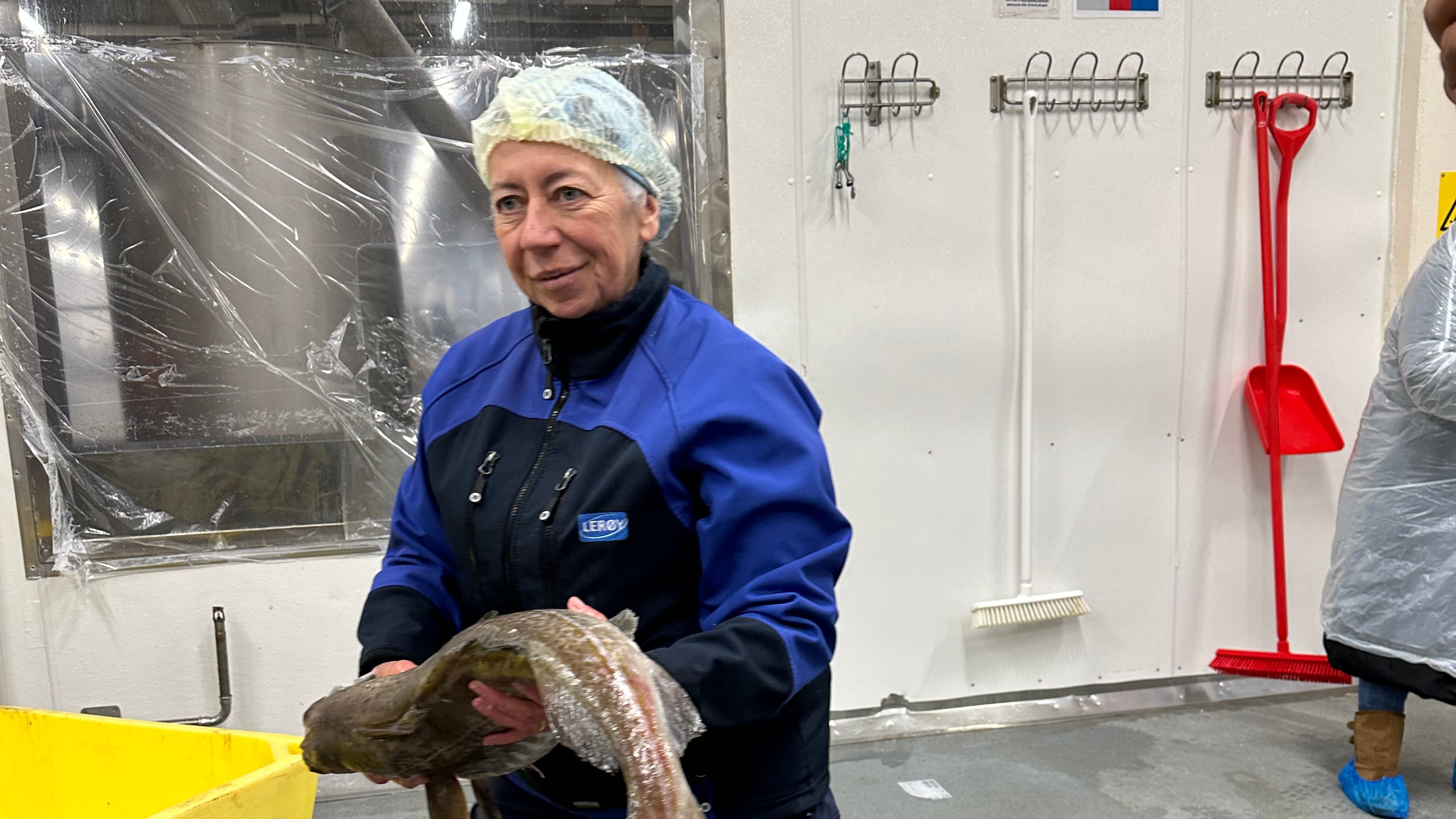 México es de los principales importadores de bacalao.