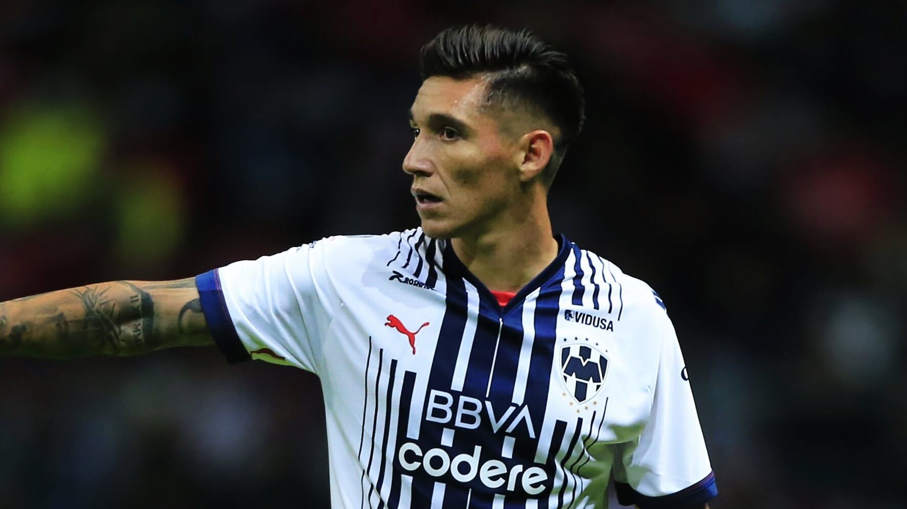 Rayados Kranevitter