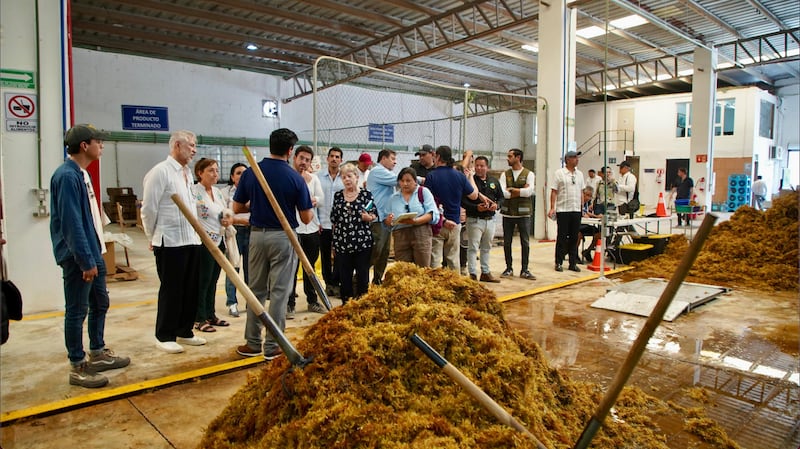 Alicia Bárcena, visitó las instalaciones de Carbon Wave