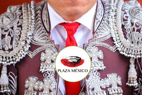 Plaza México alza la voz contra propuesta de corridas de toros sin sangre