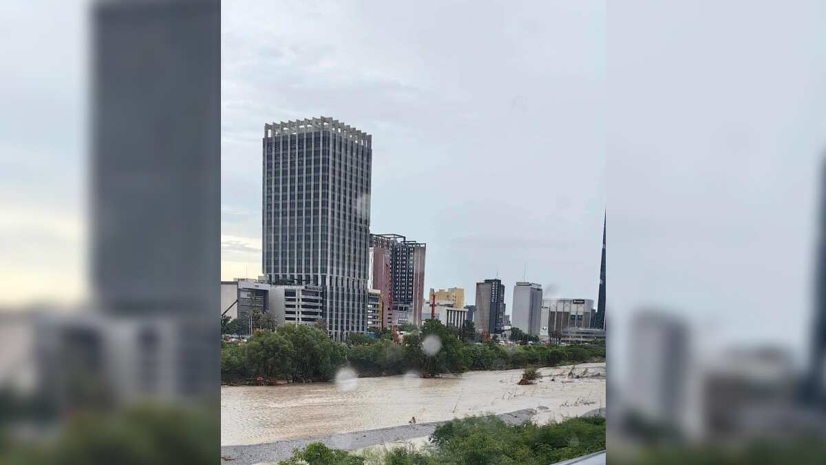 El río recuperó vida y esplendor.