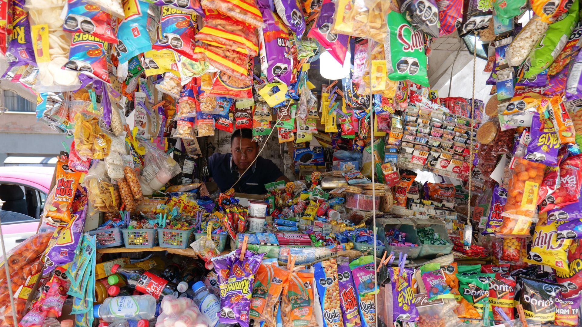 Educación vs las hormigas de la cartera